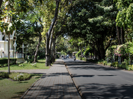 ปลูกพื้นที่สีเขียวอย่างยั่งยืน สร้างความร่มรื่นในม.กรุงเทพ