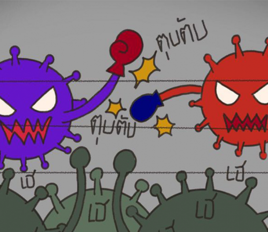 “สนามมวย ภัยโควิด-19”